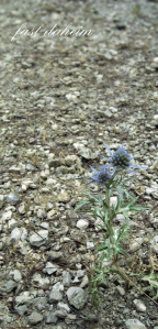 Bildschirmfoto 2013-12-10 um 10.02.59